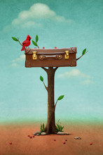 Fantasy Illustration With  Red Bird And Vintage Suitcase On Tree