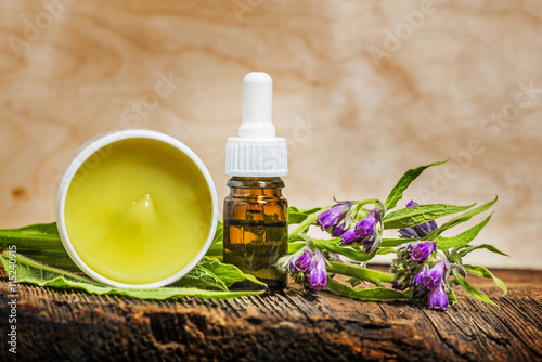 comfrey herb - Symphytum officinale