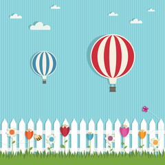 hot air balloons