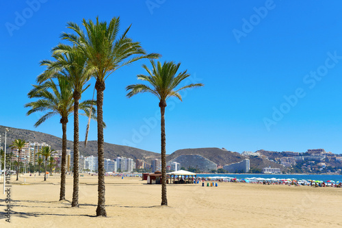 Fotografie, Tablou San Antonio Beach in Cullera, Spain