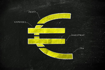 Wall Mural - split euro currency symbol with budgeting captions