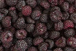 Background of fresh ripe black raspberries.
