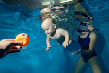 Wall Mural - Happy kid swimming underwater in the pool towards the toy. Portrait. Horizontal view