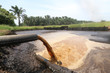 © t4nkyong - Palm Oil Mill Effluent (POME) wastewater being discharged