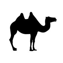 Bactrian Camel Silhouette