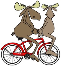 Two Moose On A Red Bike