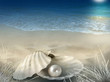 © Madele - Single pearl in oyster shell on moonlit beach with footprints in the background