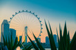 21 July, 2014 Singapore. Singapore Flyer. The largest Ferris whe