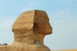 Sphinx statue in Giza Egypt. Ancient architecture