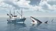 Fishing trawler and great white shark