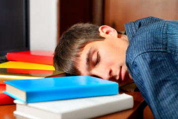 Wall Mural - Teenager sleep with a Books