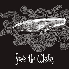 Wall Mural - Hand Drawn Sperm Whale On Chalkboard