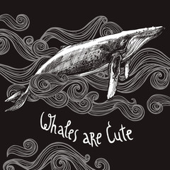 Wall Mural - Hand Drawn Whale On Chalkboard