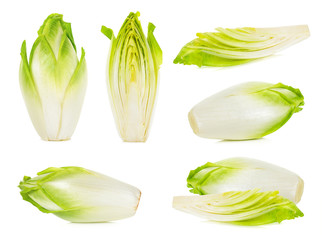 Canvas Print - Slice chicory isolated