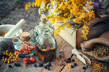 Wall Mural - bottles of tincture and dry healthy herbs