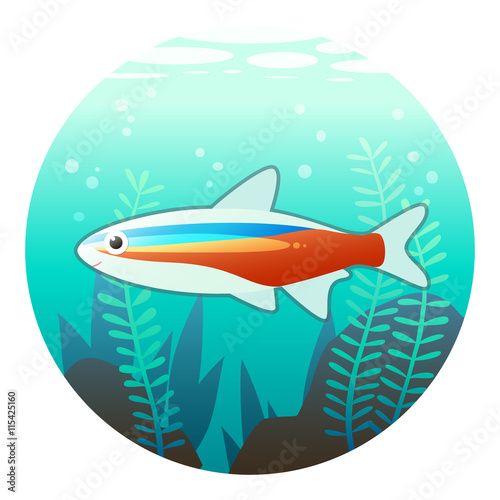 熱帯魚 アクアリウムのイラスト Stock Illustration Adobe Stock 熱帯魚 アクアリウムのイラスト Stock Illustration Adobe Stock
