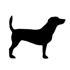 Poster - Vector illustration of dog.