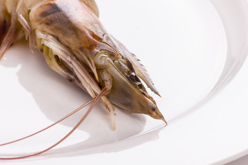 Shrimps on a white plate.