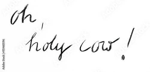 Fotografie, Obraz oh, holy cow - handgezeichnete Illustration mit Zeichenkohle in schwarz