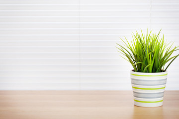 Office workplace with potted plant