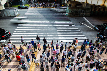 Wall Mural - 横断歩道を渡る人々