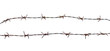 International migrants day concept: Rusty barbed wire isolated on white background. 