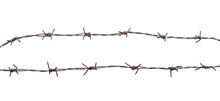 International Migrants Day Concept: Rusty Barbed Wire Isolated On White Background. 