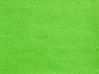 Wall Mural - Green paper texture background
