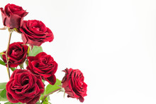 Red Roses Bouquet On White Background