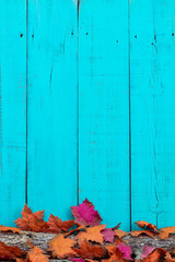 Wall Mural - Blank teal blue sign with autumn border