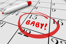 Baby Due Date Delivery Pregnancy Calendar 3d Illustration