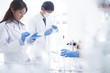 © Monet - Development of new drugs