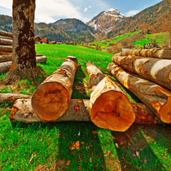 Canvas Print - Firewood