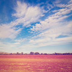 Canvas Print - Plowed Fields