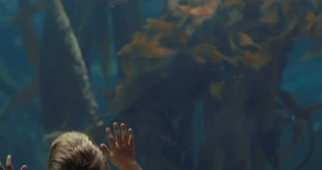 Poster - Young man touching a fish-tank 