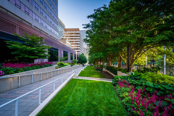 Sticker - Gardens along a walkway and modern buildings in Rosslyn, Arlingt