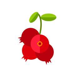 Poster - Cowberry Branch with Berries Icon