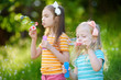 © MNStudio - Two funny little sisters blowing soap bubbles outdoors