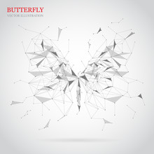 Geometric Butterfly Polygon With Triangles, Circles, And Lines. Abstract. Vector Illustration.