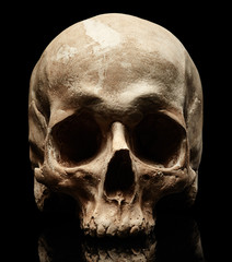 Human skull on black background