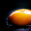 Egg yolk, selective focus