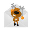 Christmas deer in the envelope.