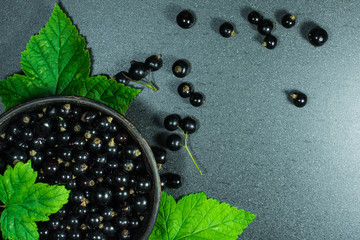 Wall Mural - fresh black currant berries in a pottery bowl on gray stone background