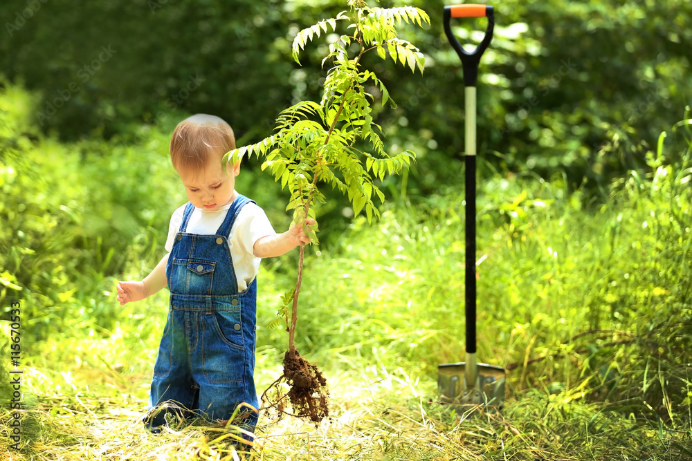Cute baby boy planting tree in garden
