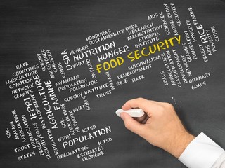 Wall Mural - Food security