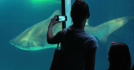 Poster - family filming a shark