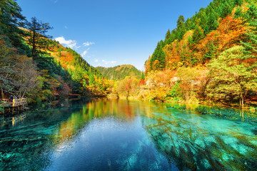 Sticker - Colorful autumn forest reflected in the Five Flower Lake