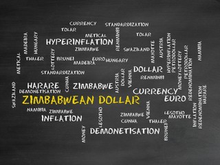 Canvas Print - Zimbabwean dollar