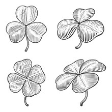 Clover Leaf Engraving Style Vector Illustration