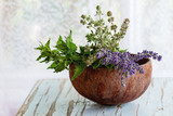 Bouquet of garden herbs